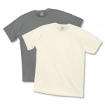 Anvil Organic T-Shirt