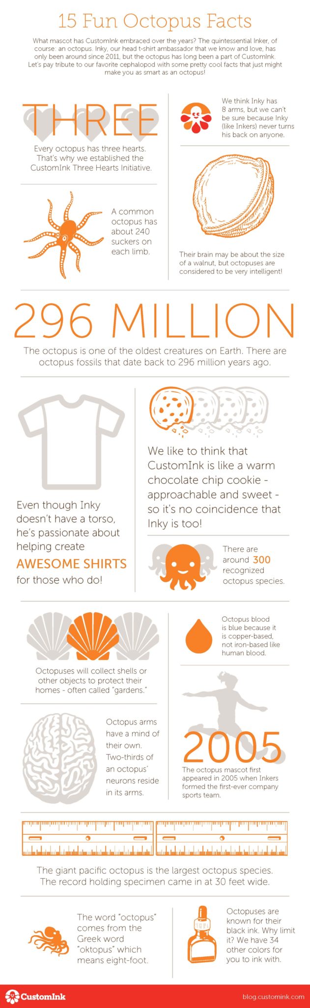 15 Fun Octopus Facts