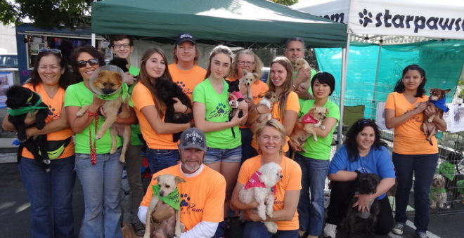 Dog Walk Team Names