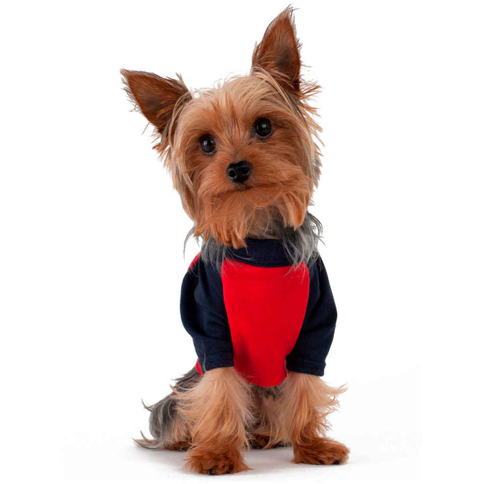 dog-clothes