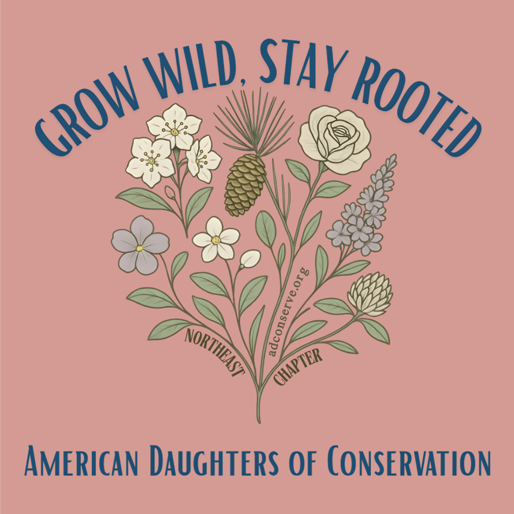 ADC NE Chapter Summer 2026 Fundraiser shirt design - zoomed