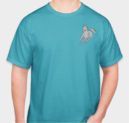 Comfort Colors 100% Cotton T-shirt