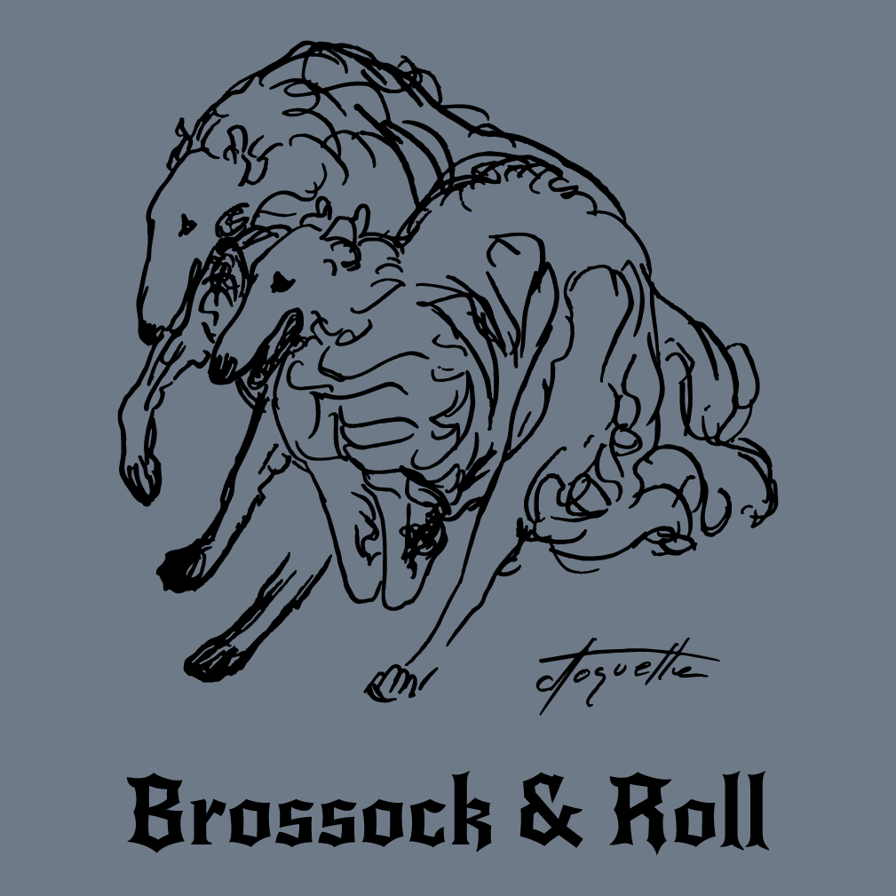 Brossock & Roll with BANE and SANE! shirt design - zoomed