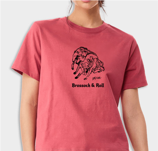 Bella + Canvas Women's Drop Shoulder Heavyweight T-shirt