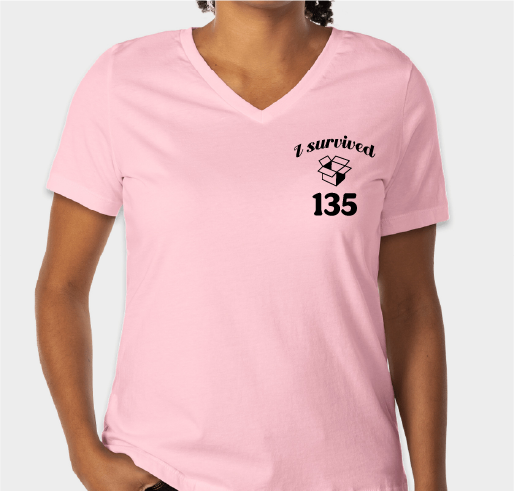 Bella + Canvas Women's Jersey V-Neck T-shirt