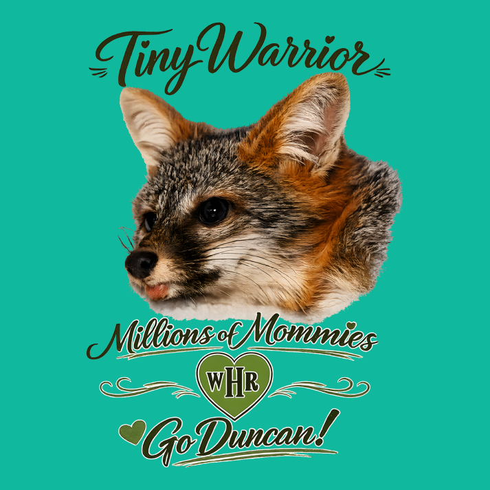 GO DUNCAN!!!!! shirt design - zoomed